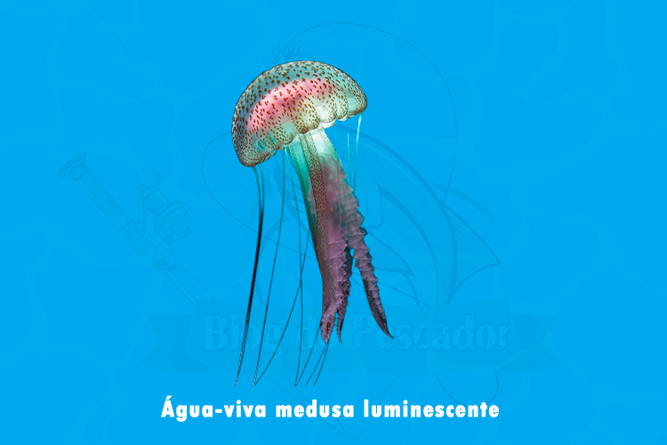 medusa luminescente