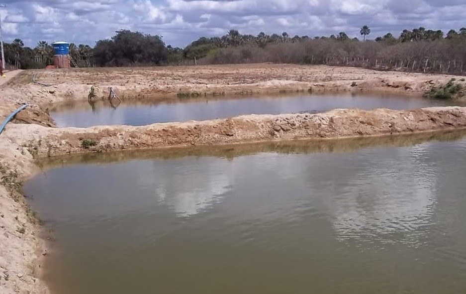 tanque para criacao de tambaqui