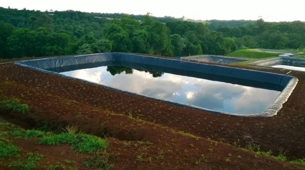 tanque para criacao do pintado