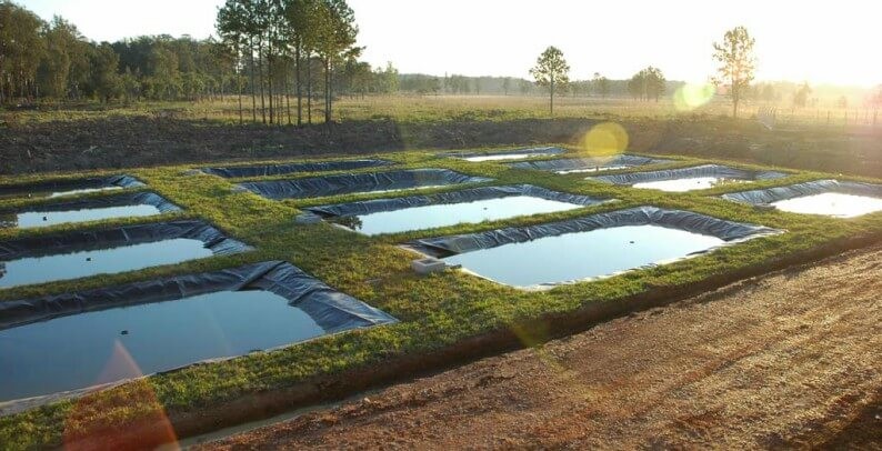 tanques para criacao de piapara