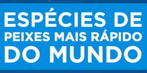 especies de peixes mais rapido de mundo