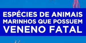 tipos de animais marinhos que possuem veneno fatal