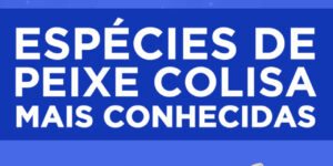 tipos de peixe colisa mais conhecidos