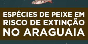 tipos de peixe em risco de extincao no araguaia