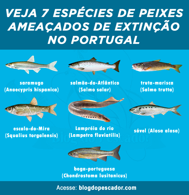 peixes ameacados de extincao no portugal