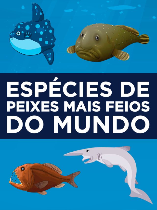 Top 11 espécies de peixes mais feios do mundo Blog do Pescador Top 11 espécies de peixes mais feios do mundo Blog do Pescador