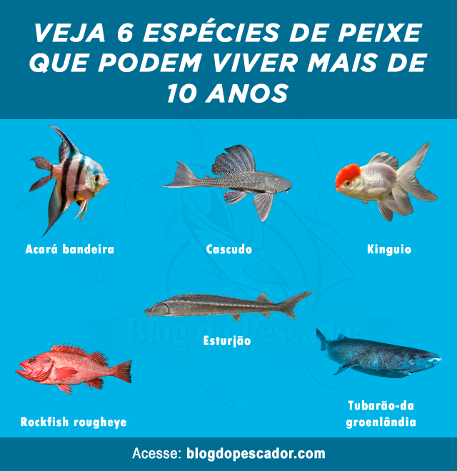 especies de peixes que podem viver mais de 10 anos