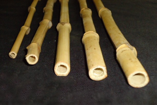  vara de bambu 