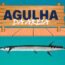 Agulha-da-areia