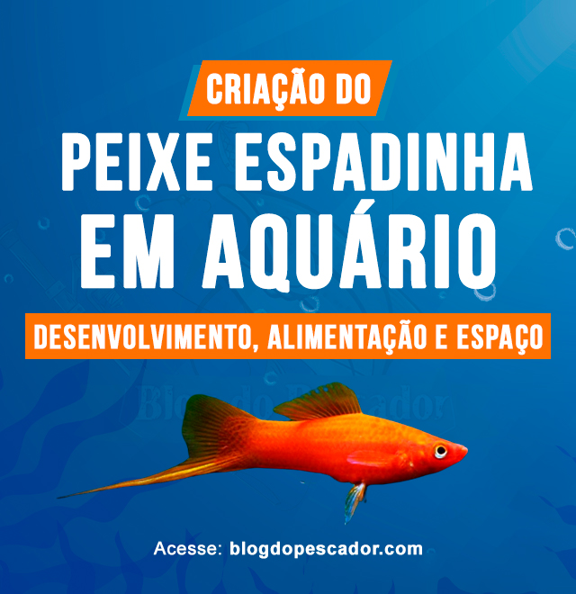 Criacao do peixe espadinha em aquario