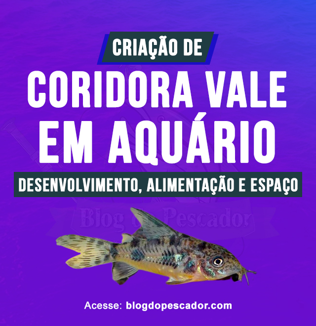 criacao da coridora vale em aquario