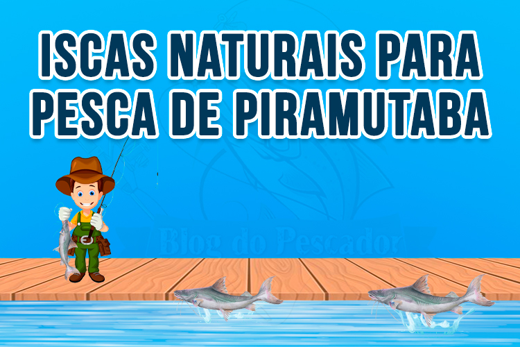 iscas naturais para pesca de piramutaba