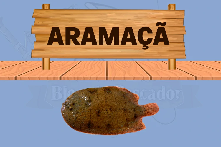 aramaca
