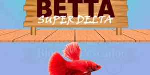 betta super delta