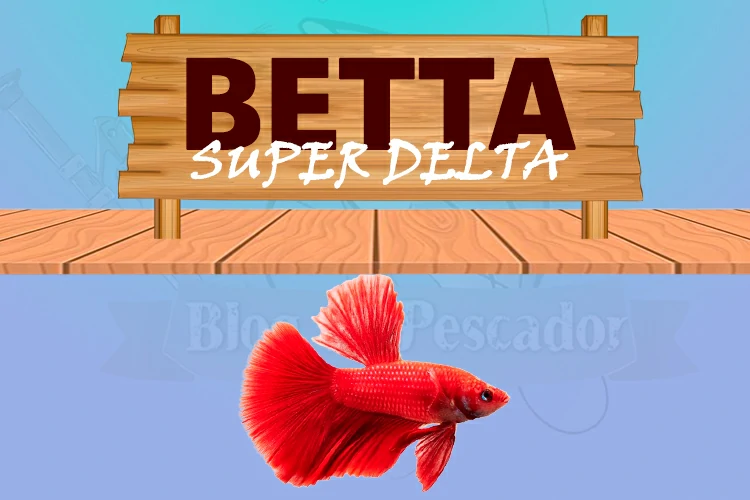 betta super delta