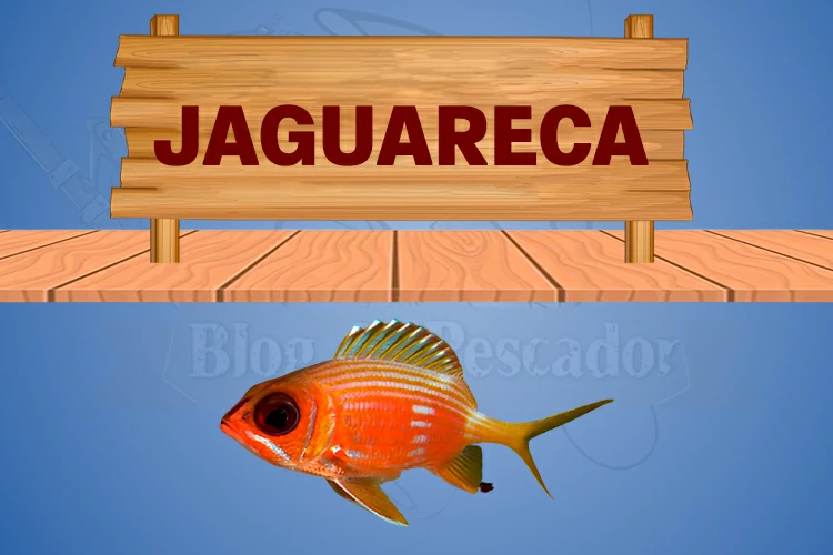 jaguareca