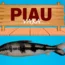 piau vara