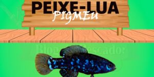 peixe lua pigmeu
