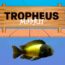 tropheus moorii