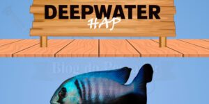 deepwater hap