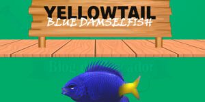 yellowtail blue