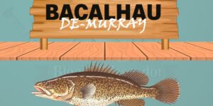 Bacalhau-de-murray