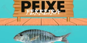 peixe ferreira