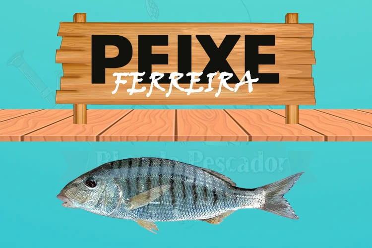 peixe ferreira