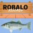 Robalo riscado