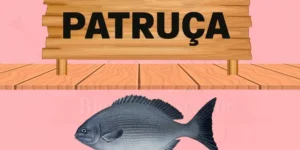 patruça peixe