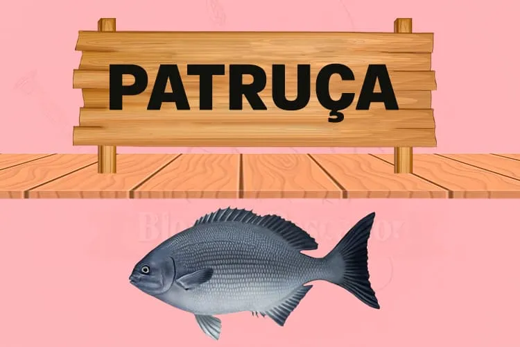 patruça peixe