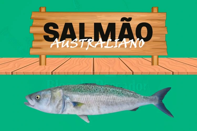 salmão australiano