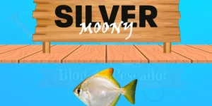 silver moony