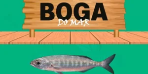 boga do mar