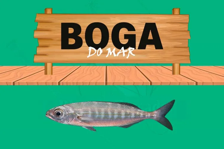 boga do mar