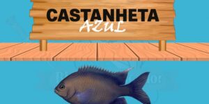 castanheta azul peixe