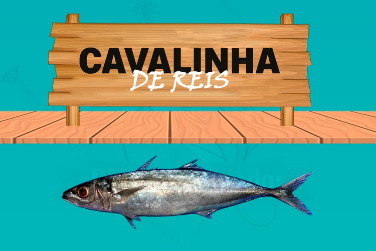 cavalinha reis