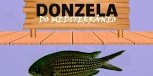 donzela do mediterrâneo