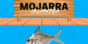 mojarra irlandês