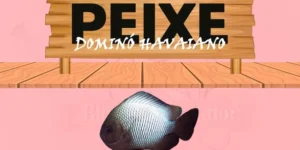 peixe domino havaiano