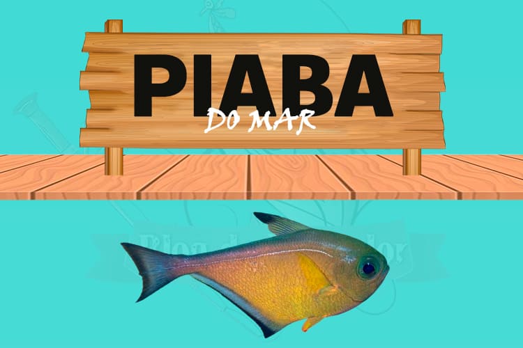 piaba do mar