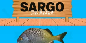 sargo de beiço